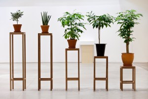 Principle of Equality, 2014, pots, wooden stands, dimensions variable