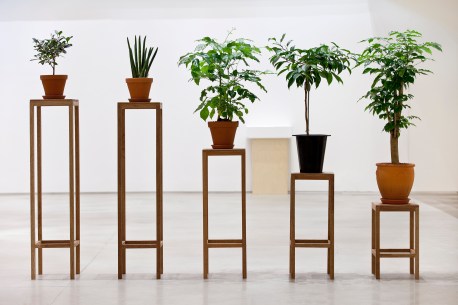Principle of Equality, 2014, pots, wooden stands, dimensions variable