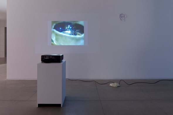 _MG_2255 as Smart Object-1