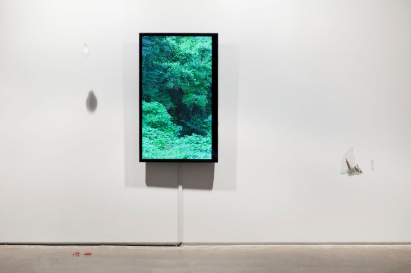 _MG_2333 as Smart Object-1