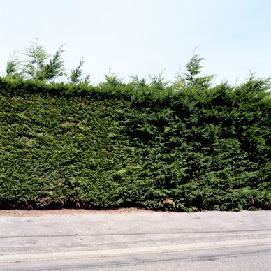 이동엽 스캔작업