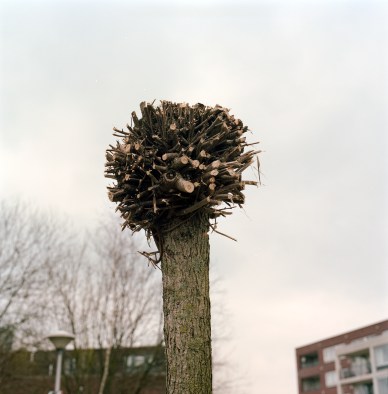 이동엽 스캔작업