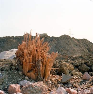 이동엽 스캔작업