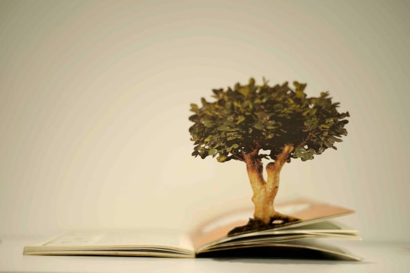 어딘가의 기념품-나무