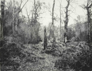 George Shaw | Selected Works