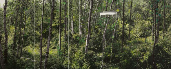강홍구_study of green-white birch A_acrylic on pigment print_190x480cm_2011
