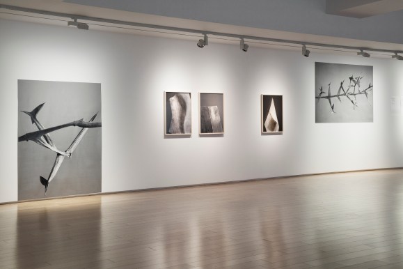 전명은_설치컷1