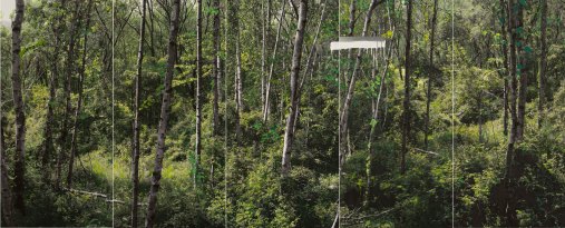 강홍구_study of green-white birch A_acrylic on pigment print_190x480cm_2011