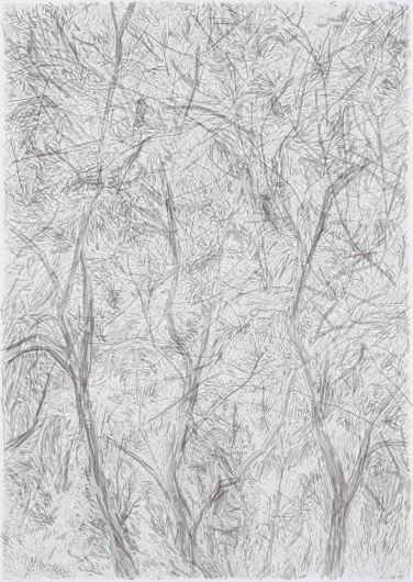 박광수_좀 더 흐린 숲 속(6)_2014