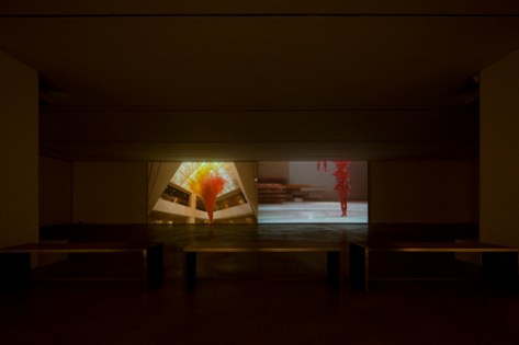 서도호_Cause &amp; Effect_스텐파이프, 아크릴, 스텐와이어_1158×868.5×800cm_2009_3