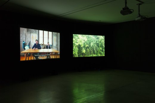 이소영_털없는 이들의 나라 A Nation of the Hairless_2017_2 channel HD video, color, sound_6 min 25 sec_전시장전경컷2