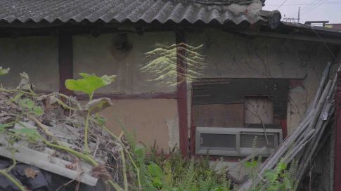 권경환_행복의 나라 Land of Happiness_2017_HD video, color, sound_17 min 42 sec_1